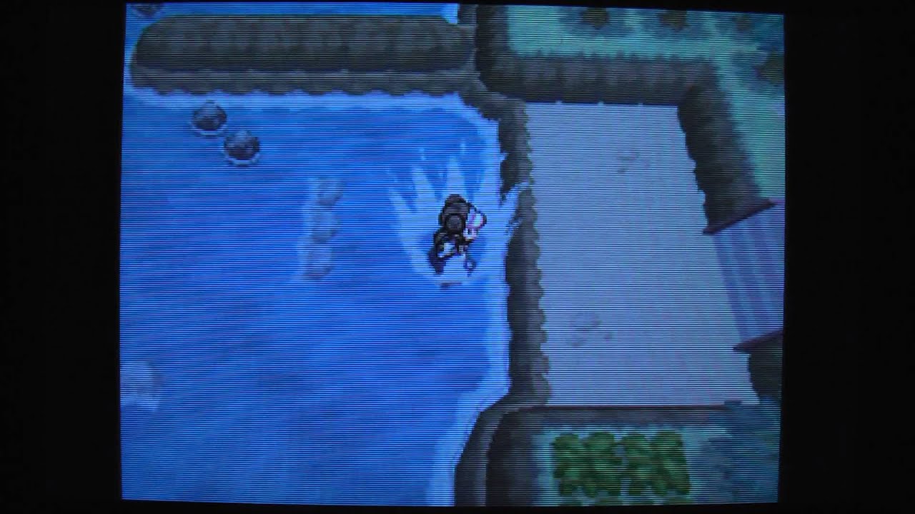 ゲノセクト専用アイテムをゲットしよう！