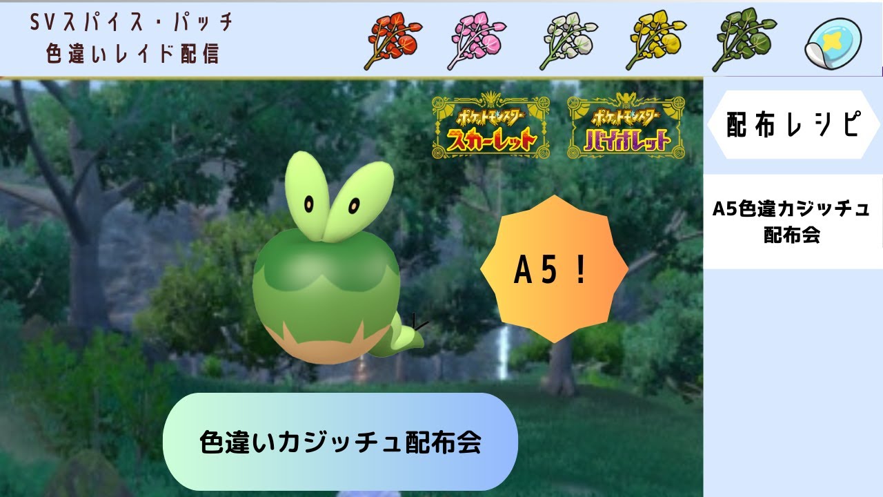 【ポケモンSV】A5色違いカジッチュ配布会【自動レイド　参加自由】