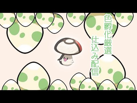 ポケモン色違い孵化厳選タマゲタケ
