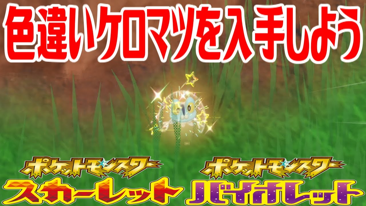 【ポケモンSV】色違いケロマツを入手しよう【ポケットモンスター スカーレット・バイオレット ゼロの秘宝 藍の円盤】Pocket Monsters