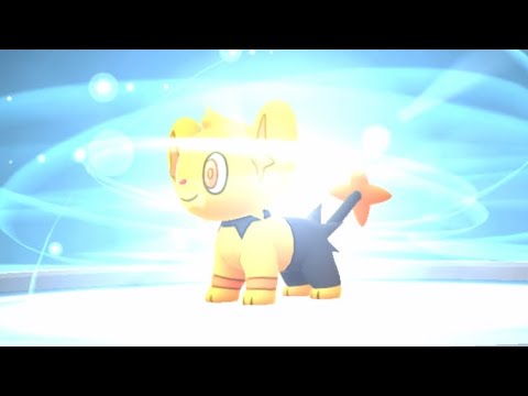 【ポケモンGO】色違いルクシオへ進化させる！コミュニティデイ #shorts