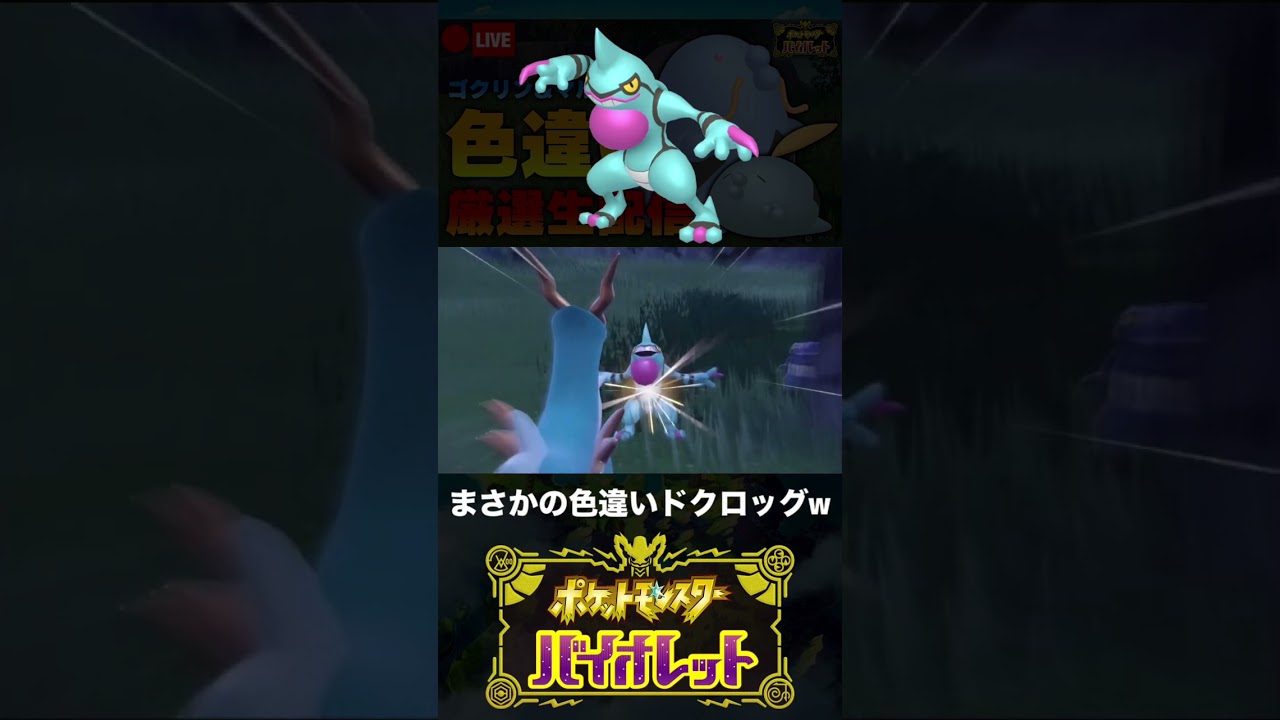 色証ゴクリン厳選中に色違いドクロッグに出会った男【ポケモンSV】 #shorts