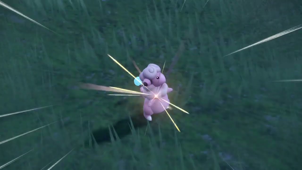 モココ　色違い