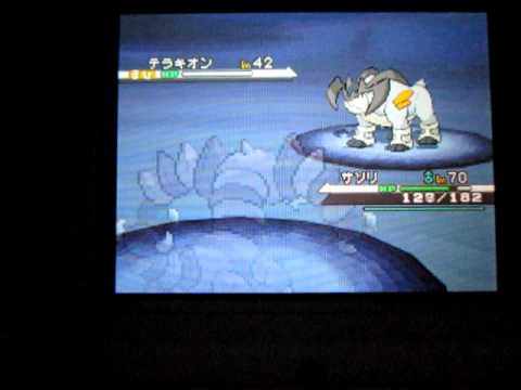 ポケモンブラックテラキオン戦