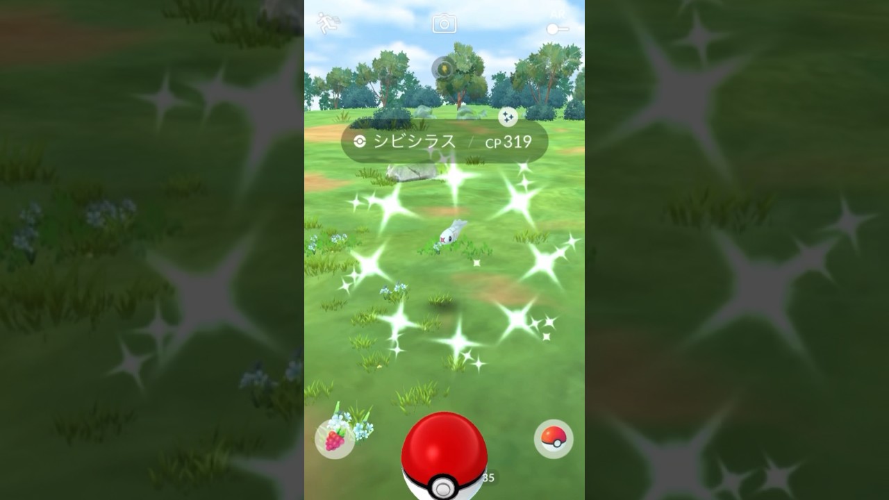 コミュニティ・デイで色違いシビシラスをGET！シビルドンに進化！