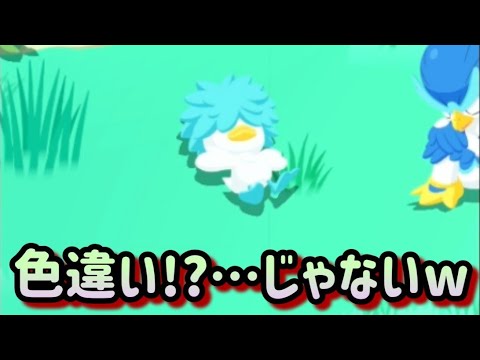 【ポケスリ】徹夜が続きポケスリ出来てないの辛い…【ポケモンスリープ】【POKEMON】