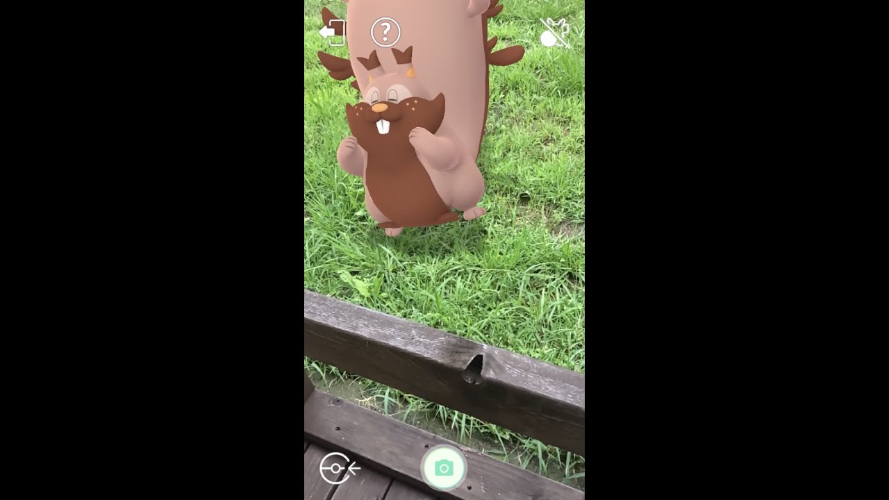 #Shorts【ポケGO】AR動画｜PoKeMoN GO AR｜819ホシガリス｜Skwovet｜820ヨクバリス｜Greedent｜第８世代
