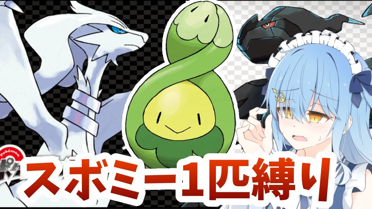 スボミーちゃんが大好き過ぎて母性爆発してる一般成人男性によるポケモンBWスボミー旅縛り【ポケモンBW】