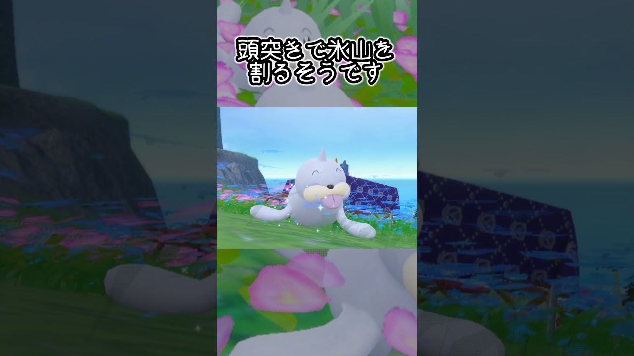 パウワウ6匹とピクニック【ポケモンSV】#Shorts