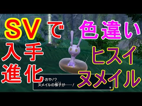 【ポケモンSV】ヒスイヌメルゴン進化方法・大量発生ヒスイヌメイル色違い入手場所イベント攻略実況マップ天気雨