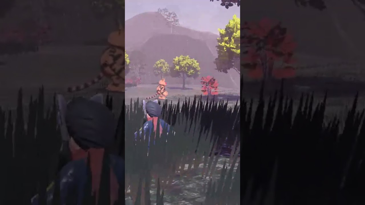 その姿にシビれる憧れるぅ⚡️色違いエレブー親分【ポケモンレジェンズアルセウス】#shorts #pokemon #色違い厳選 #色違い