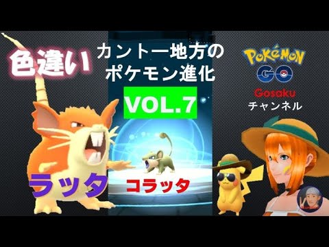 カントー地方のポケモン進化Vol.7◇コラッタ色違い#180