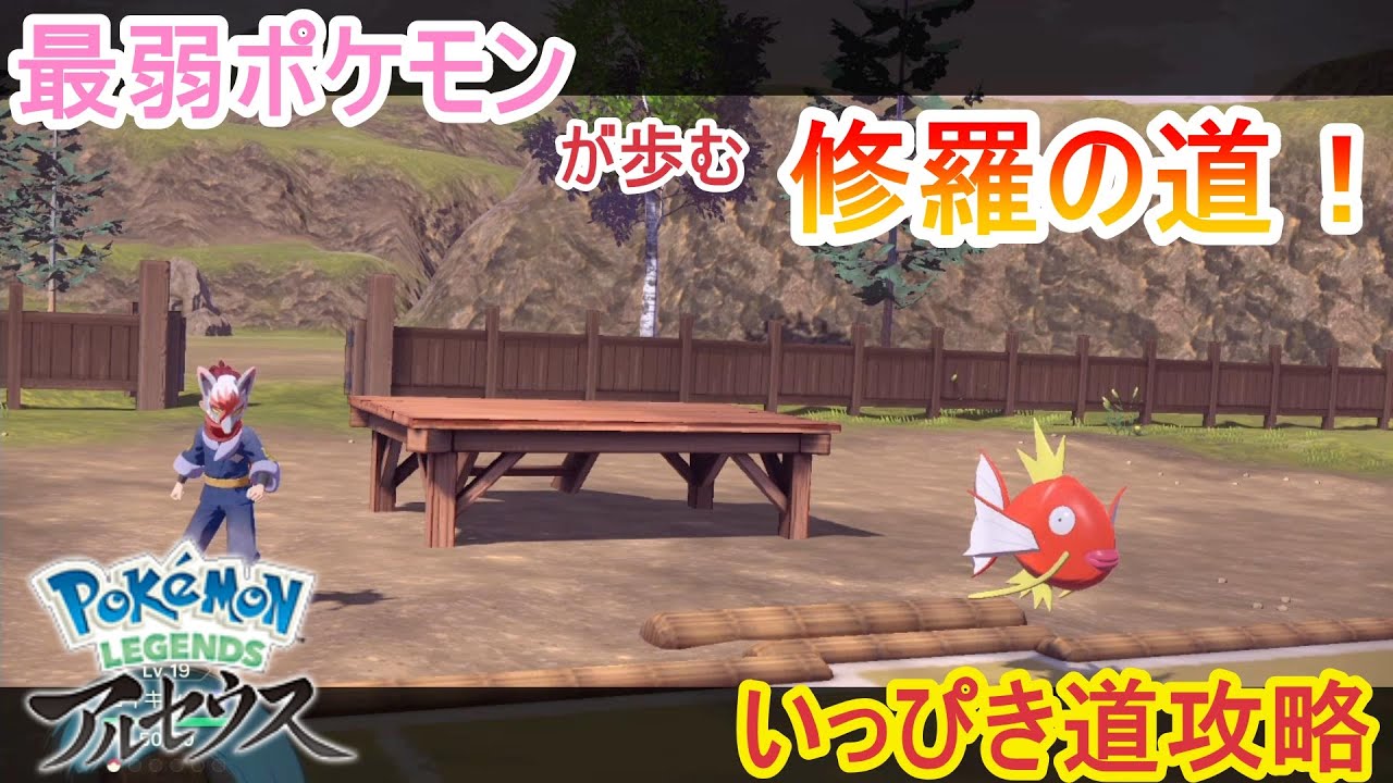 【レジェンズアルセウス】コイキングでいっぴき道攻略！【ヒスイの夜明け】