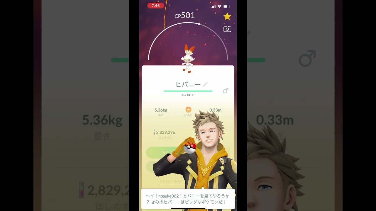 ガラル御三家実装日に早々と個体値100ヒバニー捕まえて調子乗ってる人 #pokemon #pokemongo #ポケモン #ポケモンgo