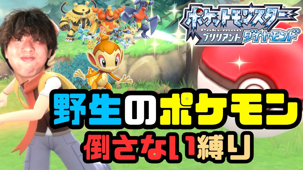 【ポケモンダイパ リメイク】野生討伐禁止 2日目