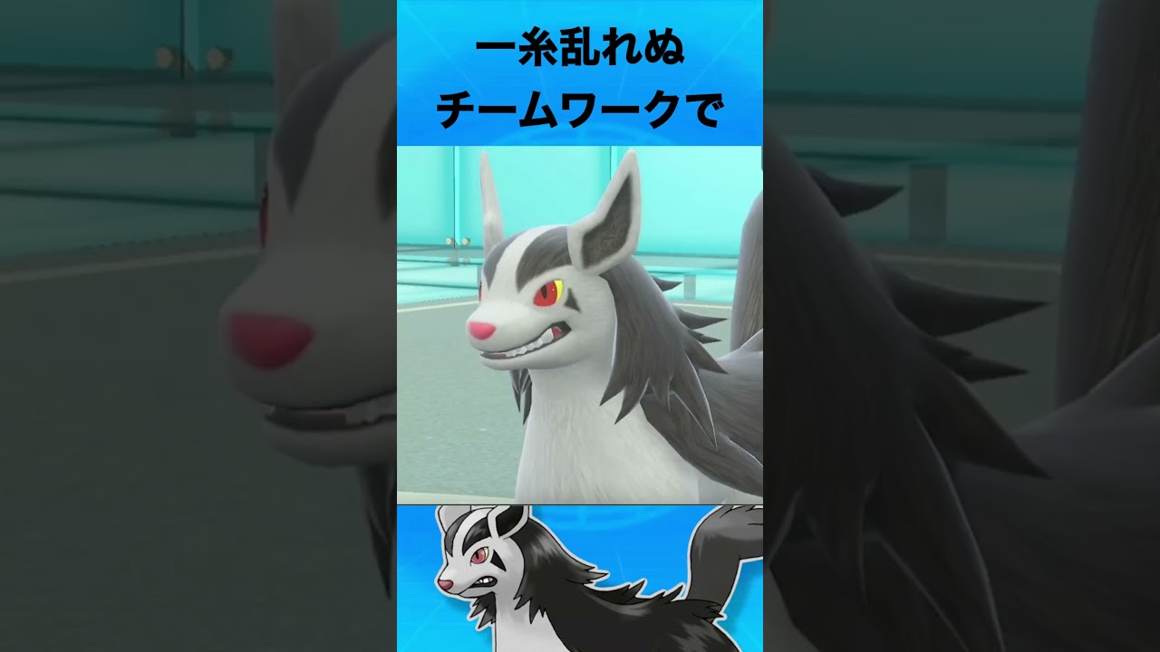 グラエナについて #ポケモン #グラエナ