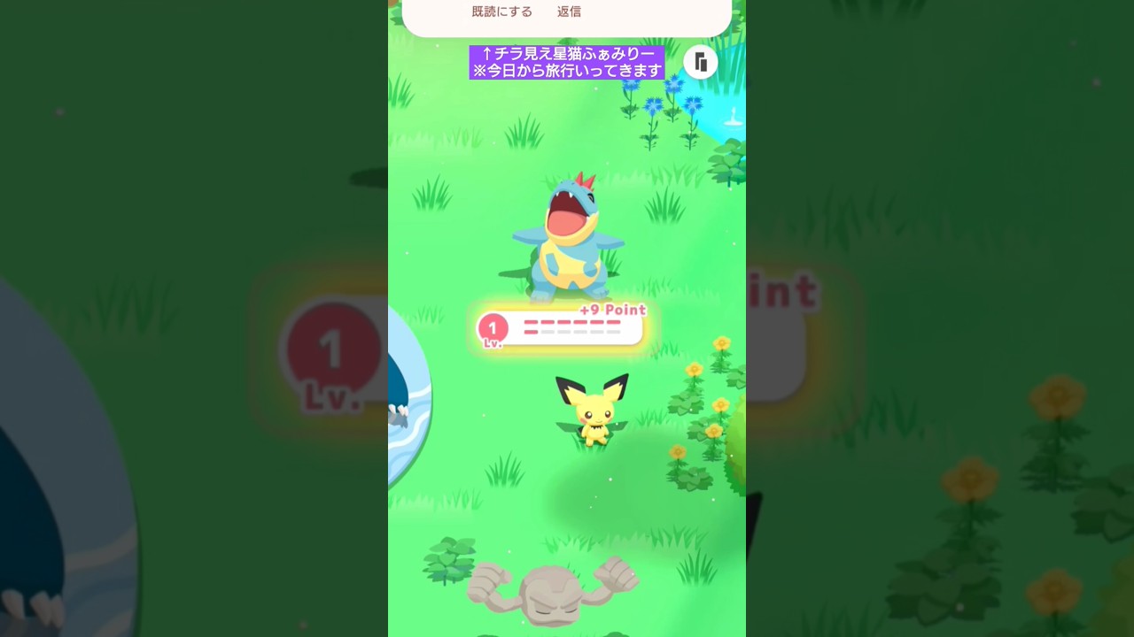 【おはよう】アリゲイツなかよしチャンスでした🐊 【🔰睡眠初心者】#ポケモン #ポケモンスリープ