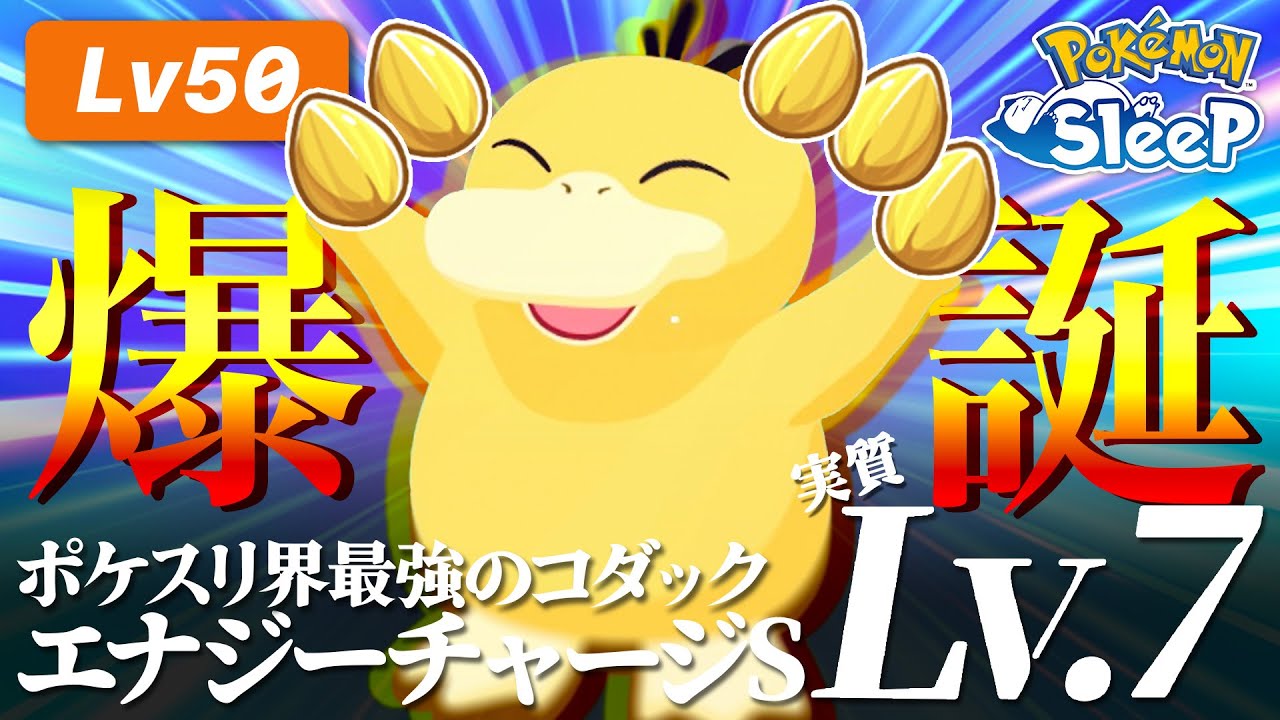【ポケモンスリープ】スイクンを差し置いてコダックにメインスキルのたねを使いまくったら最強のコダックが爆誕しました