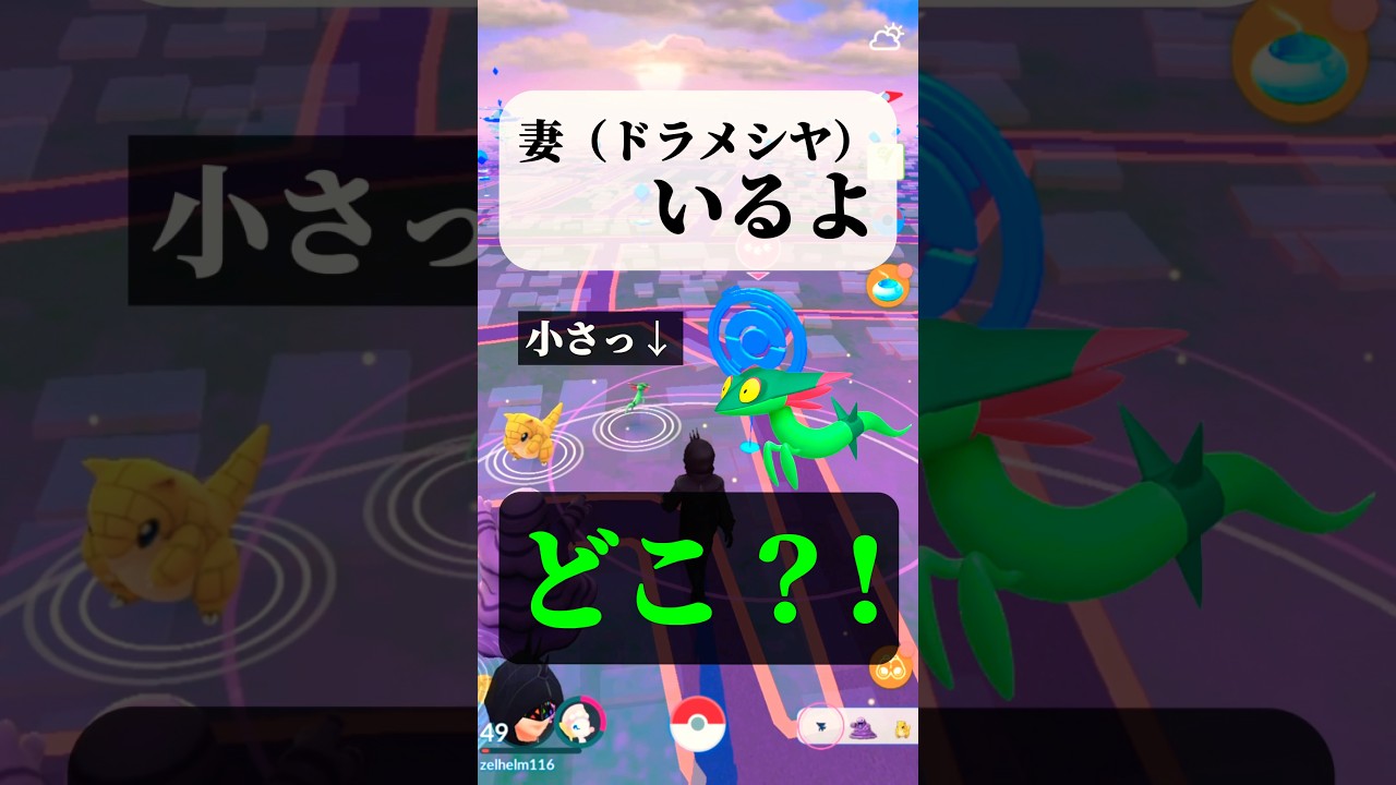 ドラメシヤを探索する夫婦の日常風景【ポケモンGO】#ポケモンGO #pokemongo #ポケモン #レイドデイ #ドラメシヤ #shorts