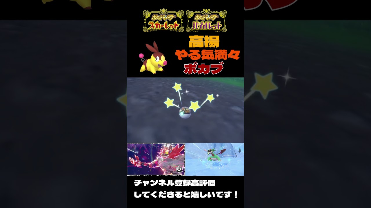 【ポケモンSV】元気いっぱいに雨の中でも駆け回っていた色ポカブ♂【＃ポケモンSV切抜】【＃ポケモンSV配信】＃Shorts#ポケモンSV