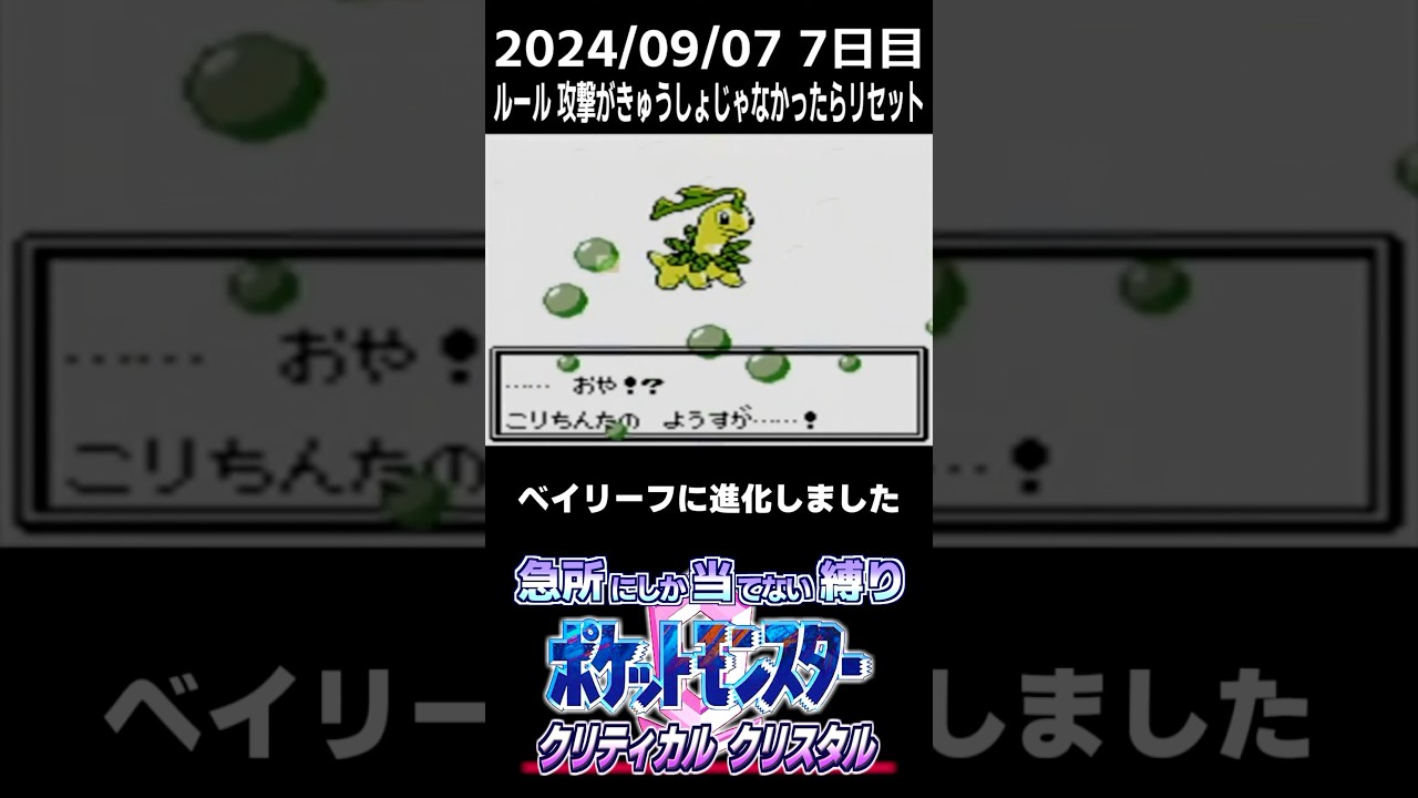 ベイリーフ　クリティカル　クリスタル　切り抜き　まとめ　⑦　#ポケモン #ポケットモンスタークリスタル #ゲーム実況 #ポケモンクリスタル