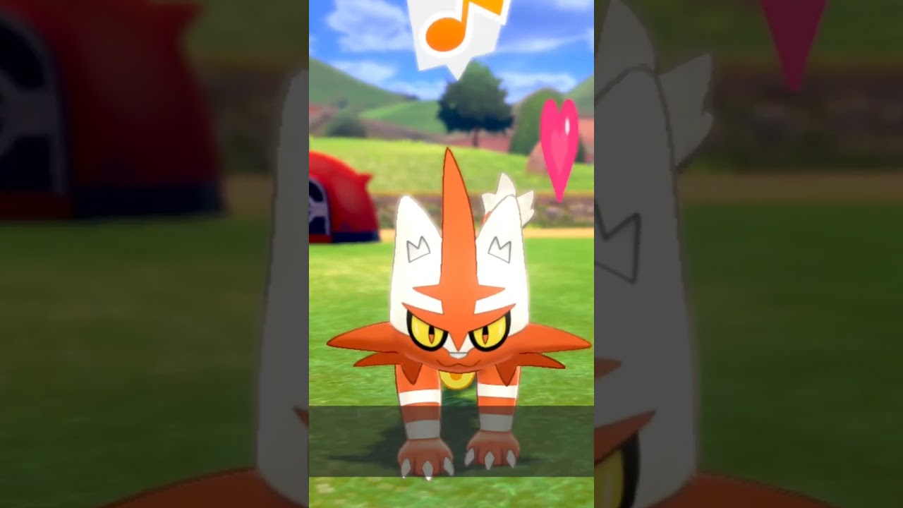 ニャヒート 色違い  Torracat【ポケモン剣盾】