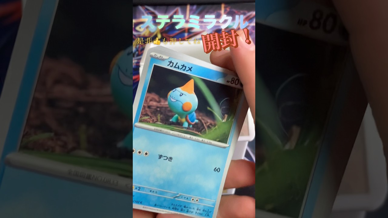 妹に顔がカムカメに似てるって言われたセンノヒカリ！#ポケカ開封動画 #pokemon #ステラミラクル #センノヒカリ #shorts#カムカメ