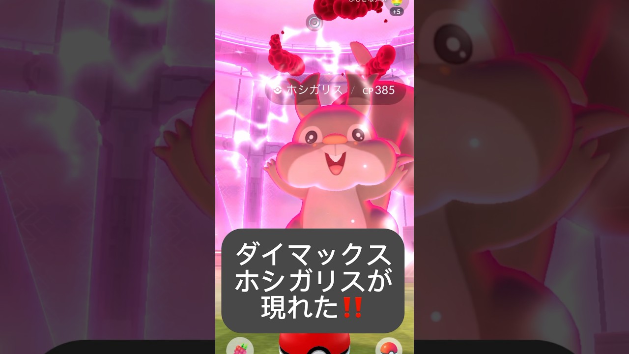 【ポケモンGO】ダイマックスホシガリスが現れた!!「巨大化のナゾ（2/3）」【✨Dynamax Skwovet Pokémon GO ✨】