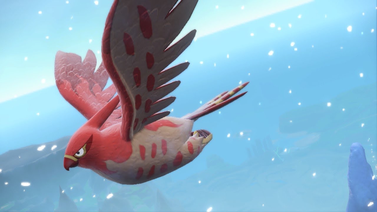 【毎日5戦】持ち物なしファイアローが最強ってワケ【ランクバトル配信】