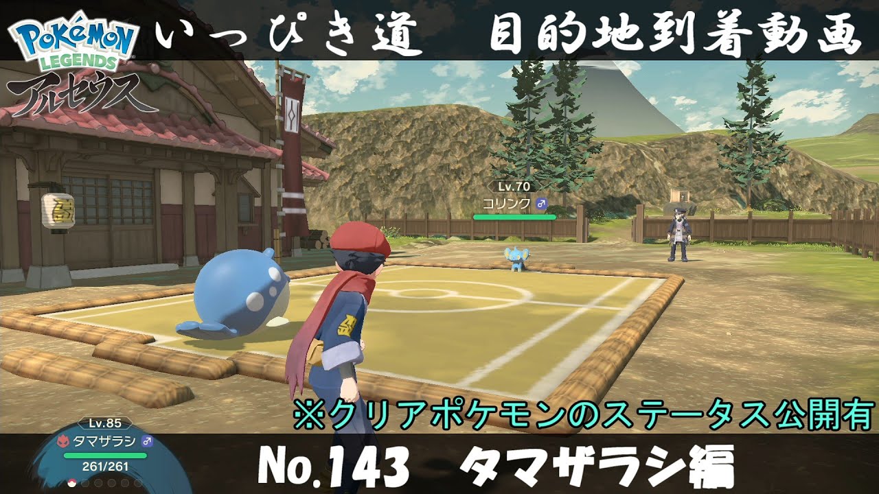 【いっぴき道攻略】No.143 タマザラシ編【Pokémon LEGENDS アルセウス】