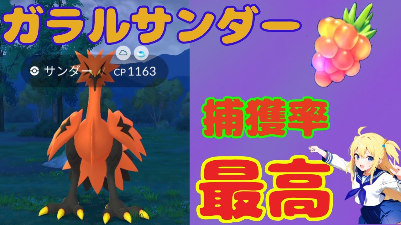 【ポケモンGO】ガラルサンダーに最高の捕獲率で挑戦した結果！（金ズリ＋カーブエクセレント＋ハイパーボール）