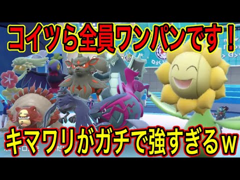 全てのポケモンをワンパンしてしまうキマワリが強すぎて使ってて楽しいwガチグマ・アーマーガア・イダイトウ・セグレイブ等を全てワンパンしてしまう！【ポケモンSV】
