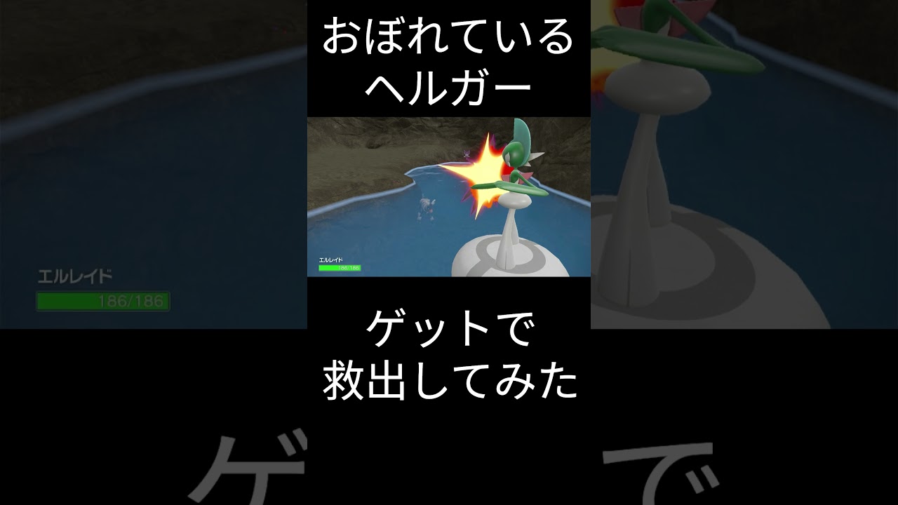 ヘルガー 水中にいたので救出ついでにゲットしてみた！ #ポケモン #ポケモンsv＃ヘルガー＃水中