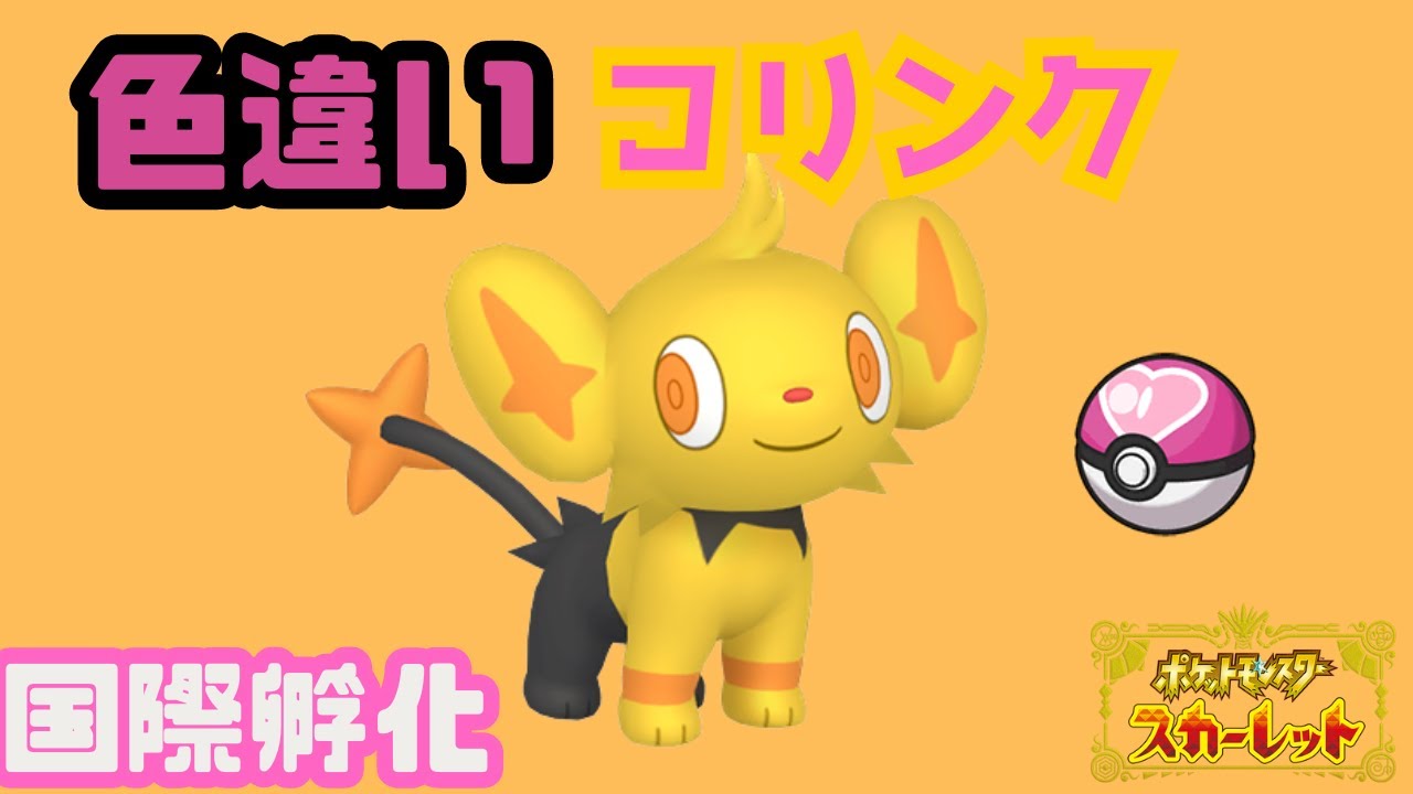 【ポケモンSV】コリンク国際孵化配信【色粘り】