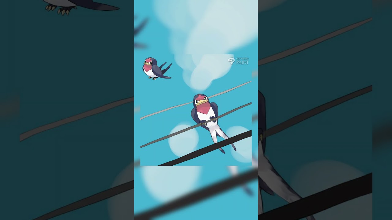 ポケモン描いてみた［スバメ］  #pokemon #shorts