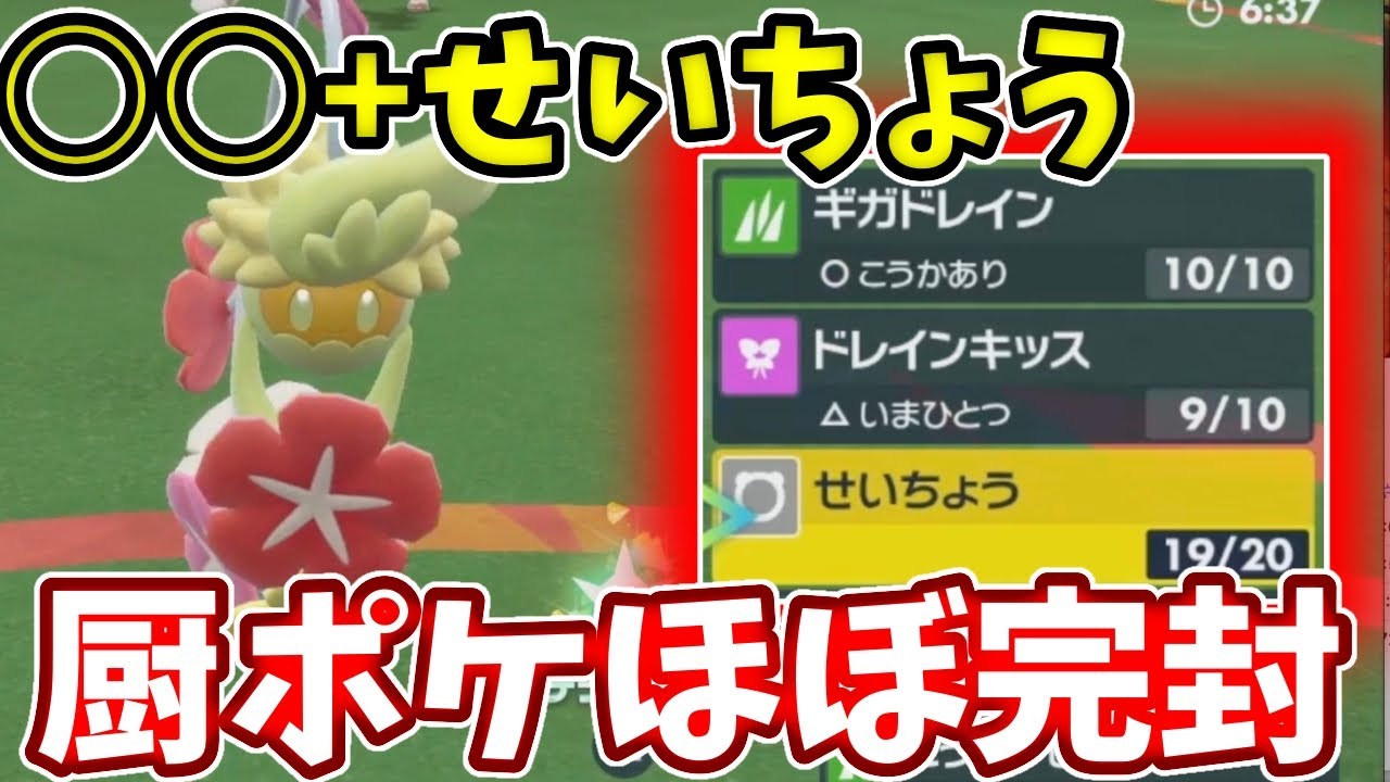 せいちょうキュワワーでほぼ相手全滅できるのやばすぎん？【ポケモンSV】