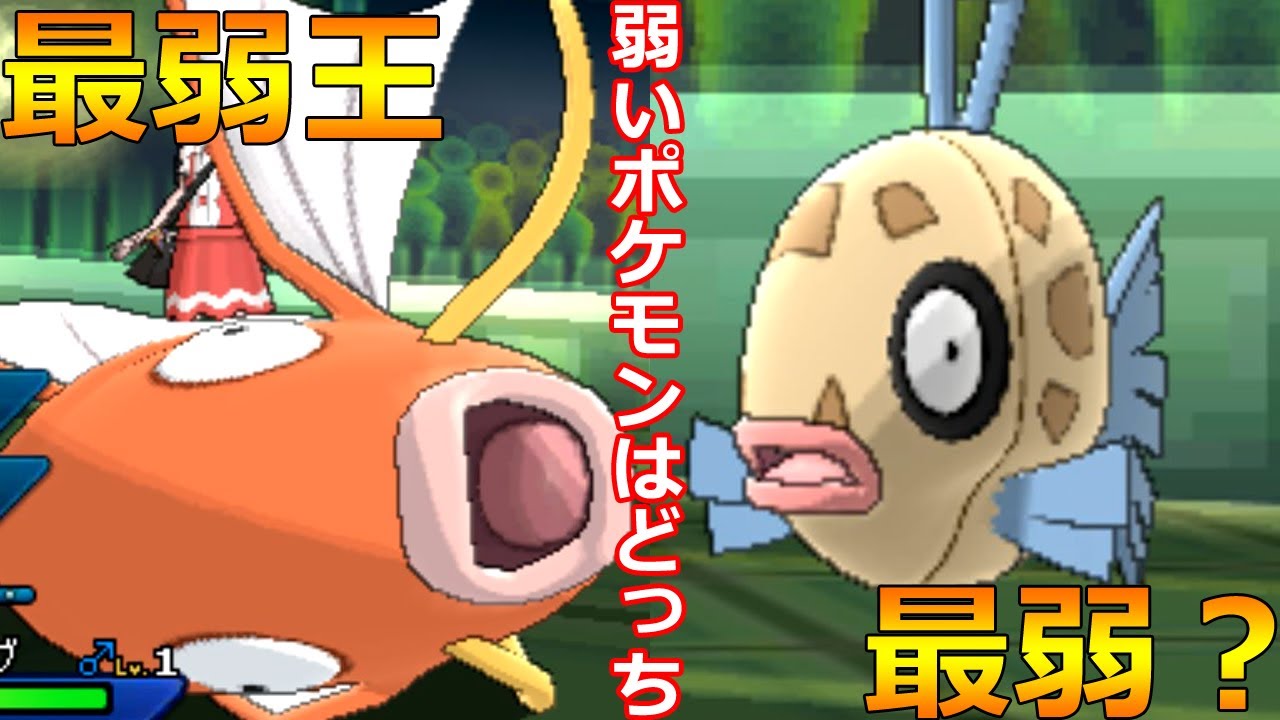 ポケモン最弱王決定戦！　コイキングVSヒンバス！　弱いのはどっち！？【ポケモンUSUM】