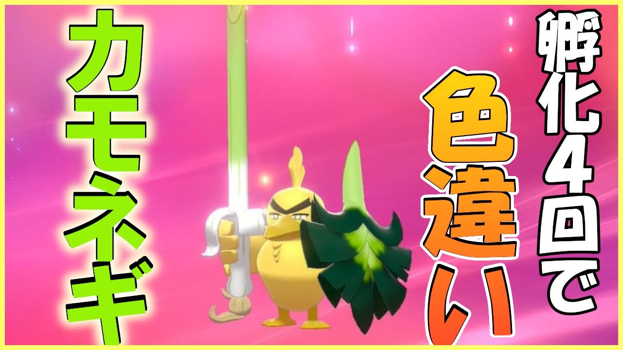 【ポケモン】カモネギ、孵化４回で色違い出してしまった。。【ポケモンソードシールド】