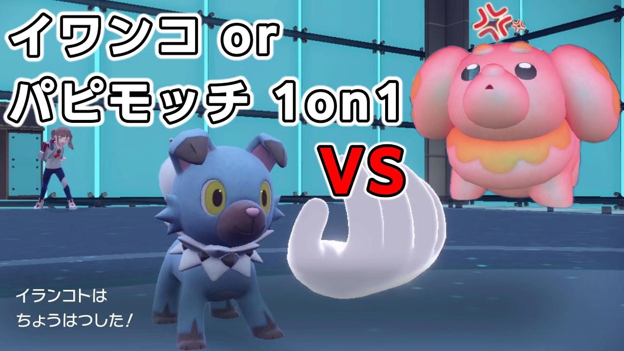 【仲間大会】イワンコorパピモッチ1on1！！！【ポケモンSV】