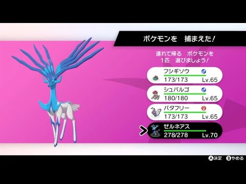 今日こそはカロス伝説の色厳選を その29【ポケットモンスターソード】