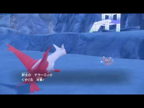 ポケモンSV　野生色違い厳選！！真夏の大量発生イベント、なぜかお目当てではないチラーミィが降臨(2024.09.03)