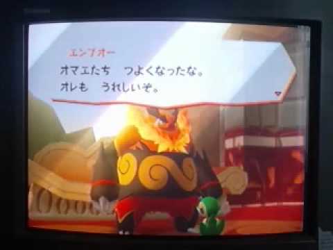 ツタージャの友達増やし！　ポケパーク２初見実況 パート１１