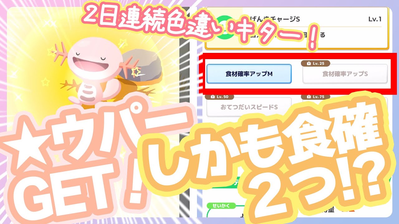 【スイクンイベント】え！？2日連続色違い！！今日は★ウパーが来てくれたぁぁぁああああああああああああああああ！！！！！！【ポケモンスリープ】