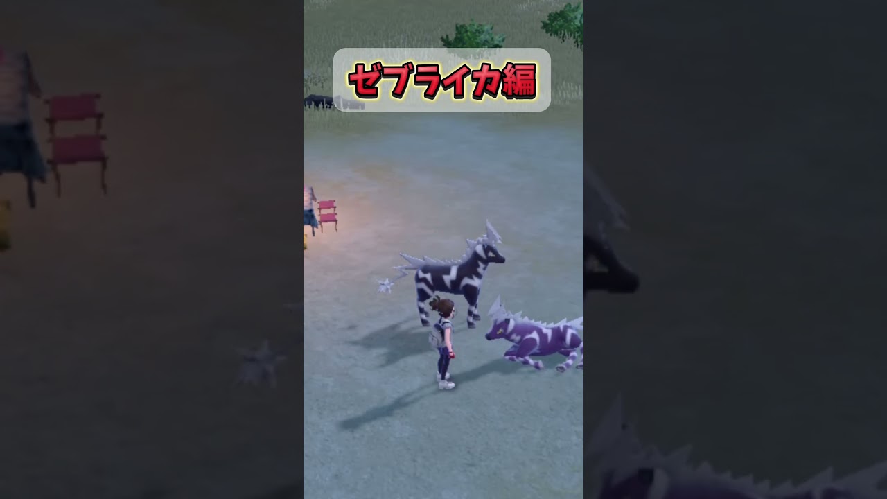 (ポケモンSV)色違いでるまで終われません！ゼブライカ編#ポケモンsv