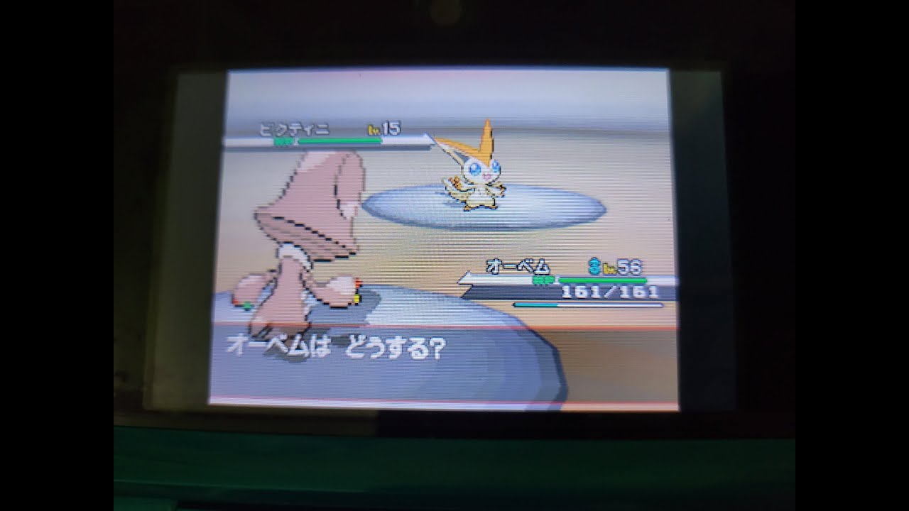 ポケモンBW ビクティニ捕獲