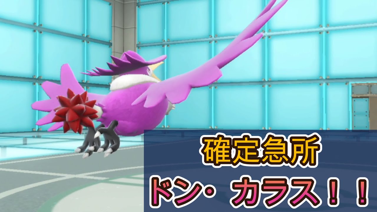確定急所ドンカラスがたまらない‼【ポケモンSV】