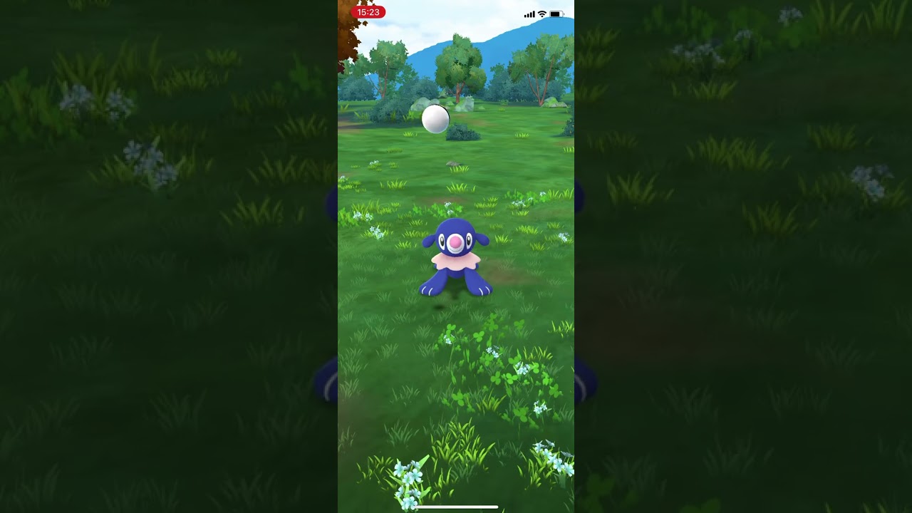 さて、2024年8月31日のPokémon GO アシマリ コミュニティデイで、出てきてくれた2体目の色違いアシマリ♂ GET!! #shorts