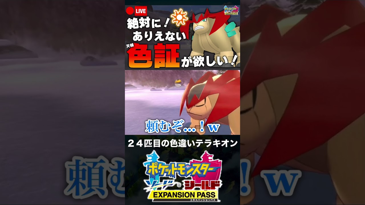 24匹目の色違いテラキオンと邂逅した男【ポケモン剣盾】 #shorts