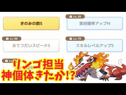 【ポケスリ】りんご難民卒業か⁉神個体ホゲータ降臨なるか【ポケモンスリープ】【POKEMON】