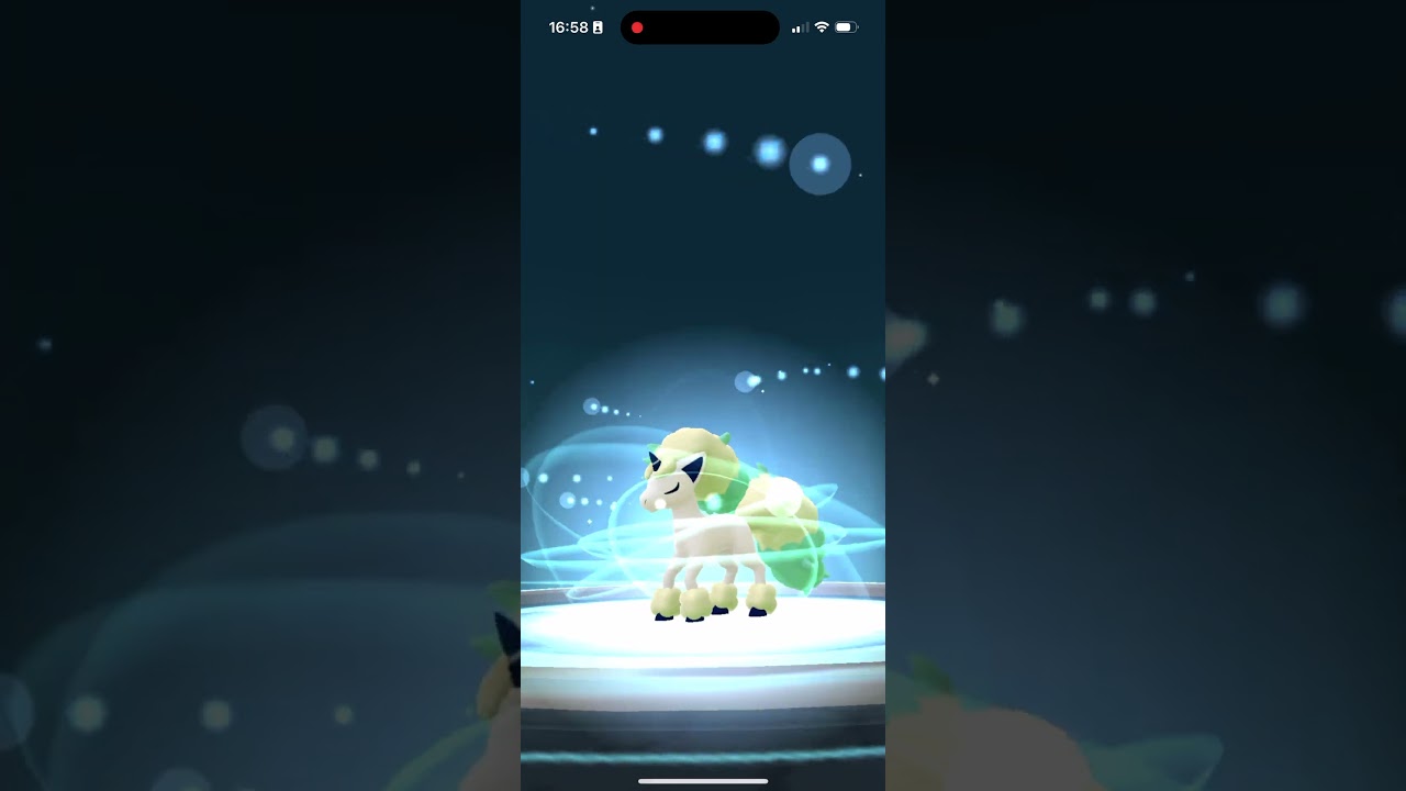 【ポケモンGO】色違いギャロップ（ガラルのすがた）へ進化させる！コミュニティデイ #shorts